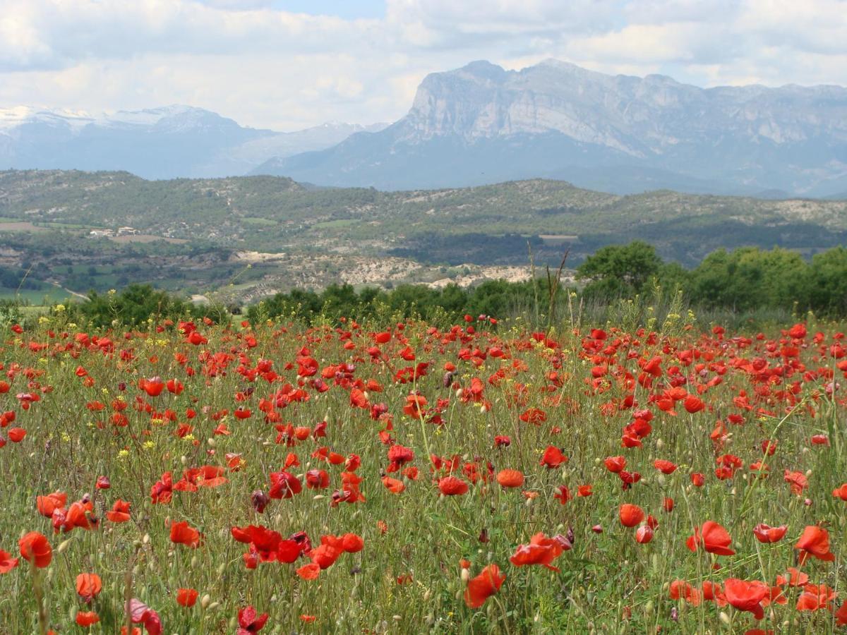 Apartamento Sierra De Guara Διαμέρισμα Paules Εξωτερικό φωτογραφία